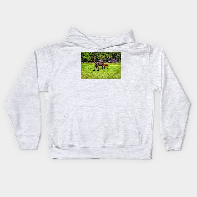 Wild Horses at Cumberland Island National Seashore Kids Hoodie by Gestalt Imagery